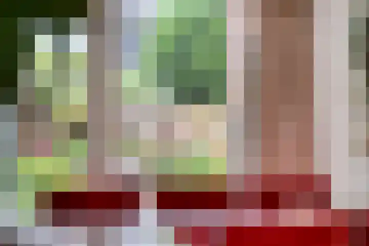 Paltrokmolen 1 Papendrecht thumbnail 22