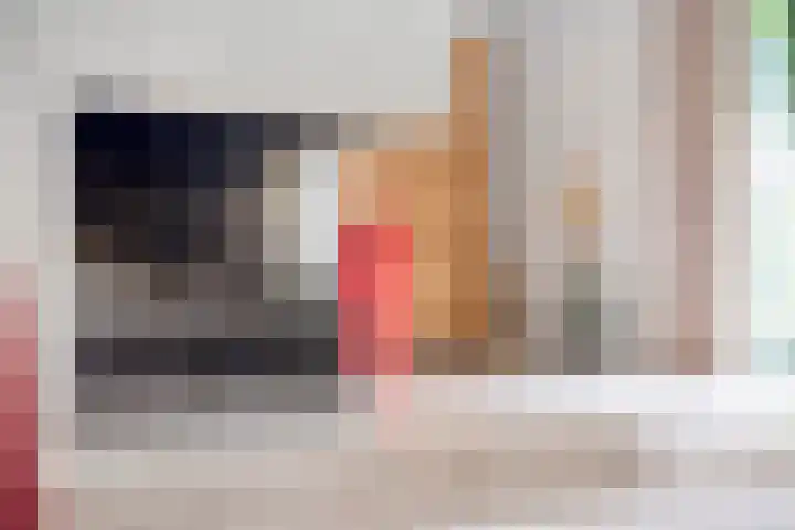 Paltrokmolen 1 Papendrecht thumbnail 23