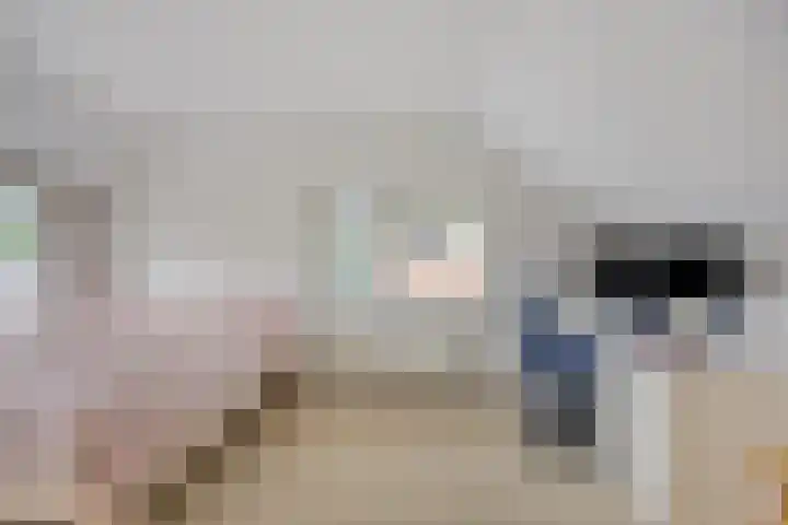 Paltrokmolen 1 Papendrecht thumbnail 28
