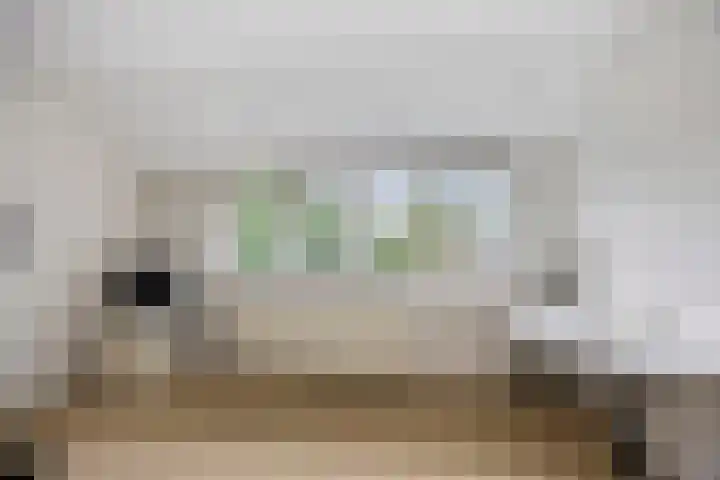 Paltrokmolen 1 Papendrecht thumbnail 32