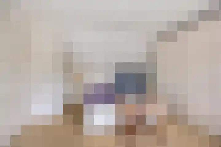 Paltrokmolen 1 Papendrecht thumbnail 33