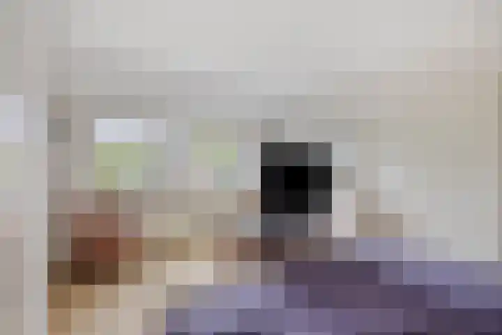 Paltrokmolen 1 Papendrecht thumbnail 34