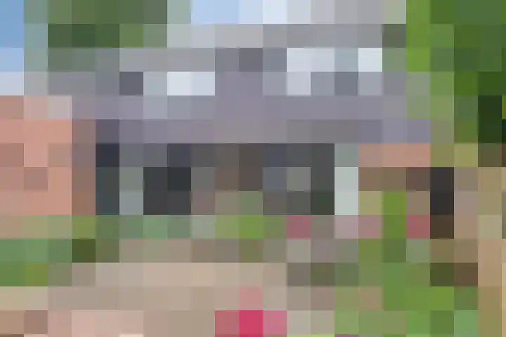 Paltrokmolen 1 Papendrecht thumbnail 35