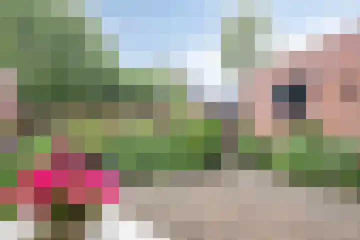 Paltrokmolen 1 Papendrecht thumbnail 36