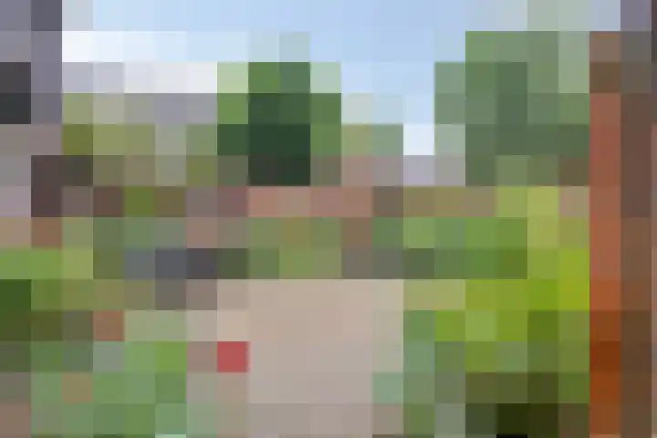 Paltrokmolen 1 Papendrecht thumbnail 37