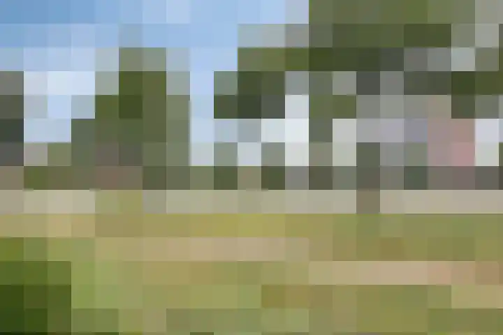 Paltrokmolen 1 Papendrecht thumbnail 38