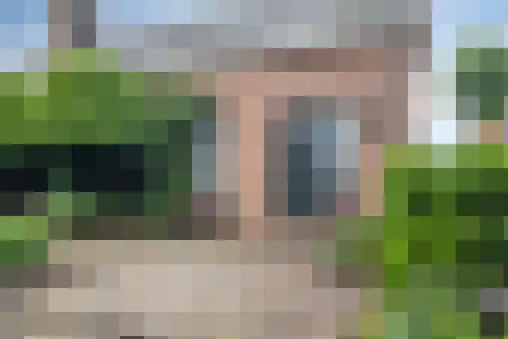 Paltrokmolen 1 Papendrecht thumbnail 4