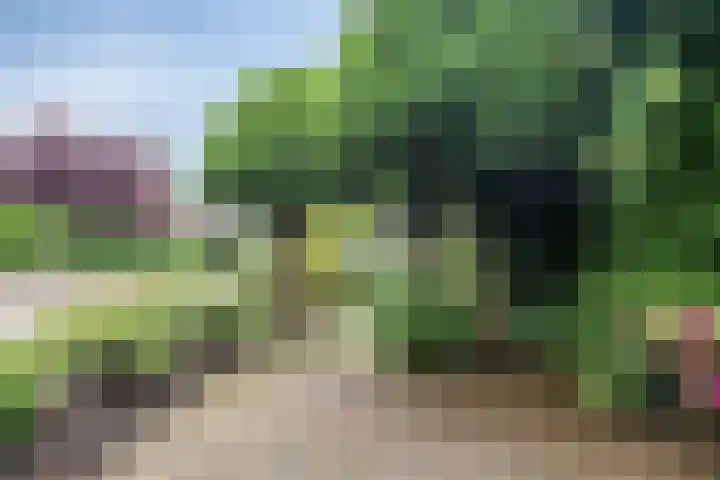 Paltrokmolen 1 Papendrecht thumbnail 5