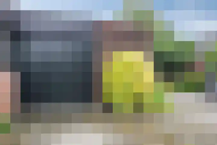 Paltrokmolen 1 Papendrecht thumbnail 6