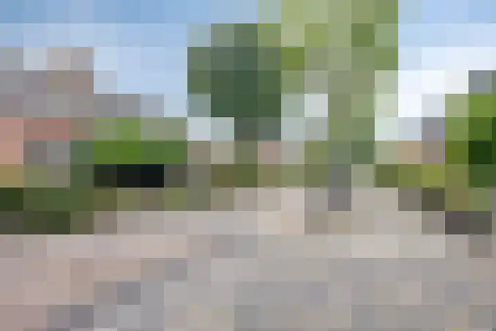 Paltrokmolen 1 Papendrecht thumbnail 7