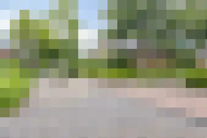 Paltrokmolen 1 Papendrecht thumbnail 8