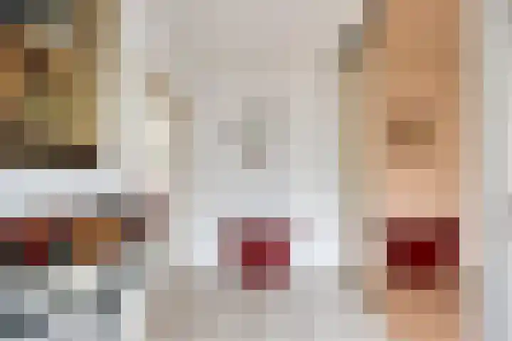 Paltrokmolen 1 Papendrecht thumbnail 9