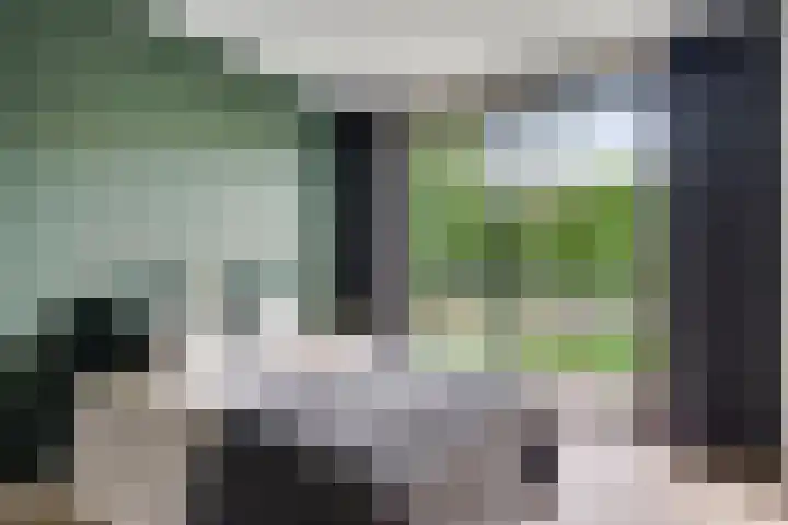 Paltrokmolen 118 Weert thumbnail 24