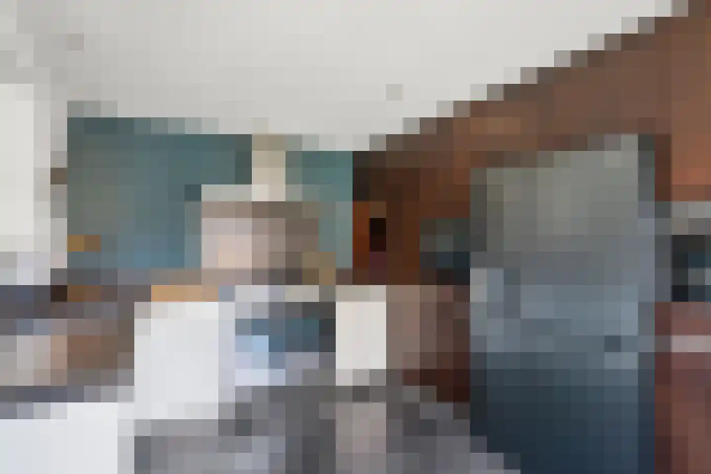 Paltrokmolen 12 Alphen aan den Rijn thumbnail 11