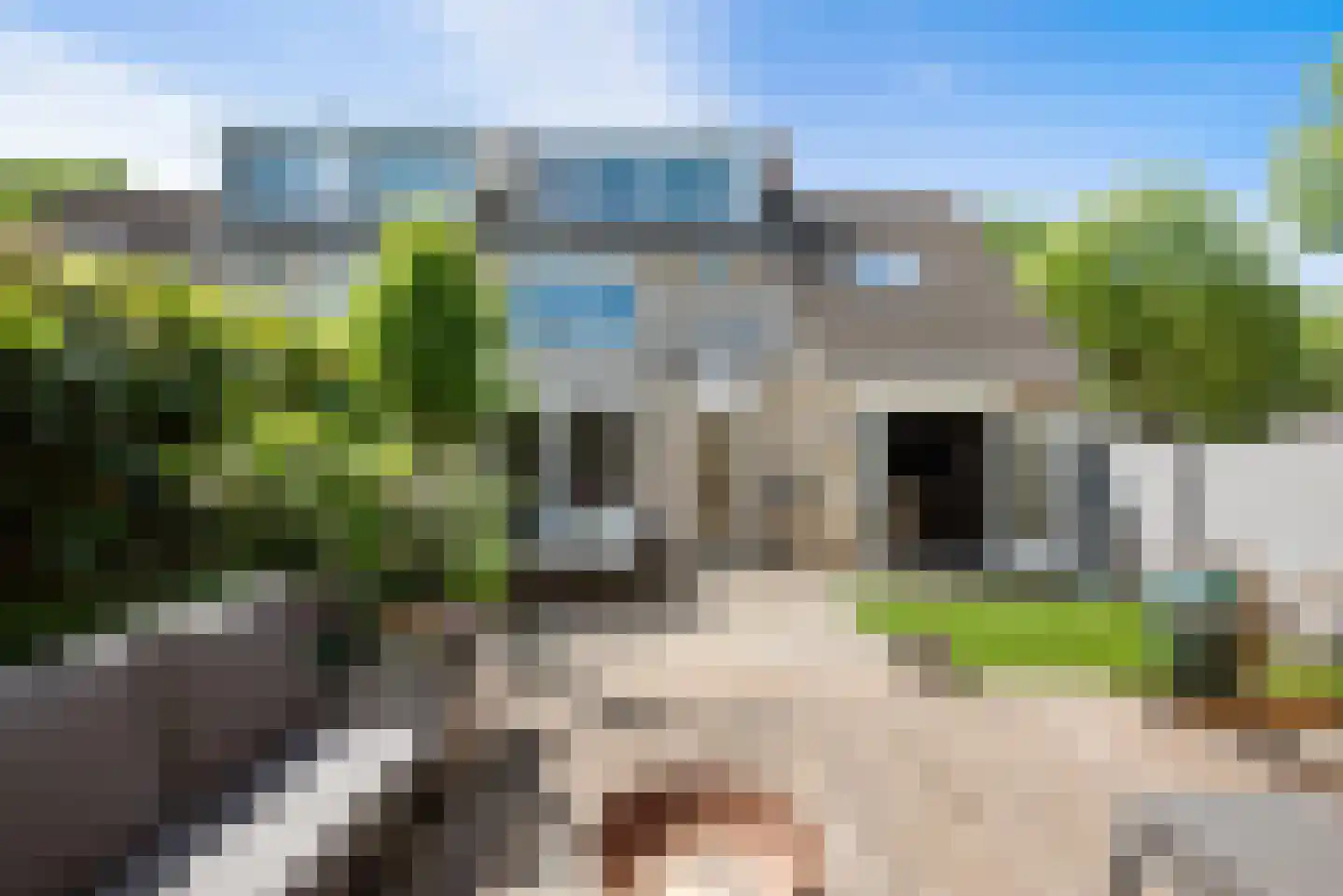 Paltrokmolen 12 Alphen aan den Rijn thumbnail 25
