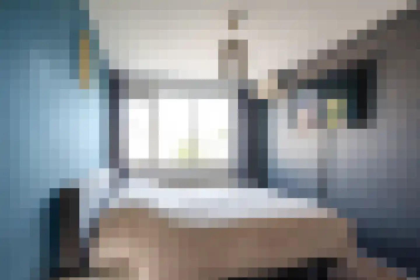 Paltrokmolen 12 Alphen aan den Rijn thumbnail 30