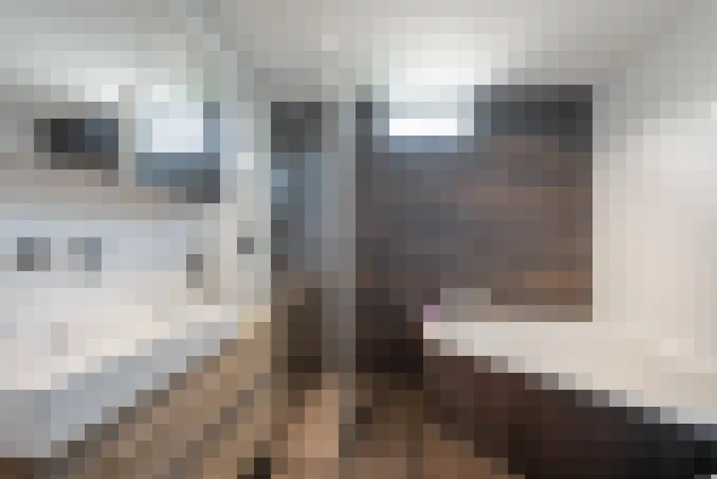 Paltrokmolen 12 Alphen aan den Rijn thumbnail 36