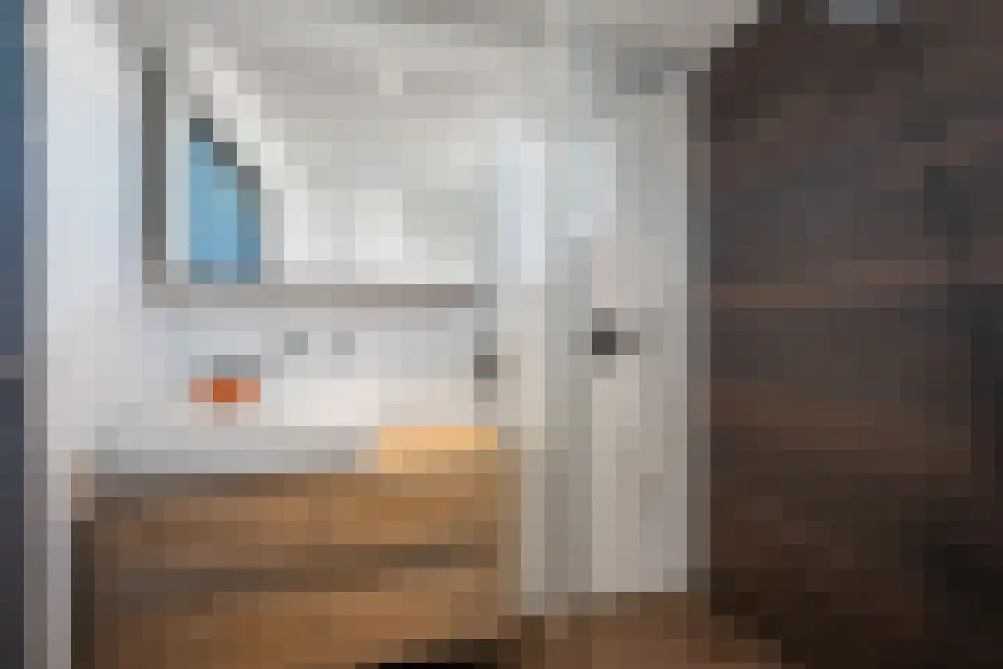 Paltrokmolen 12 Alphen aan den Rijn thumbnail 39