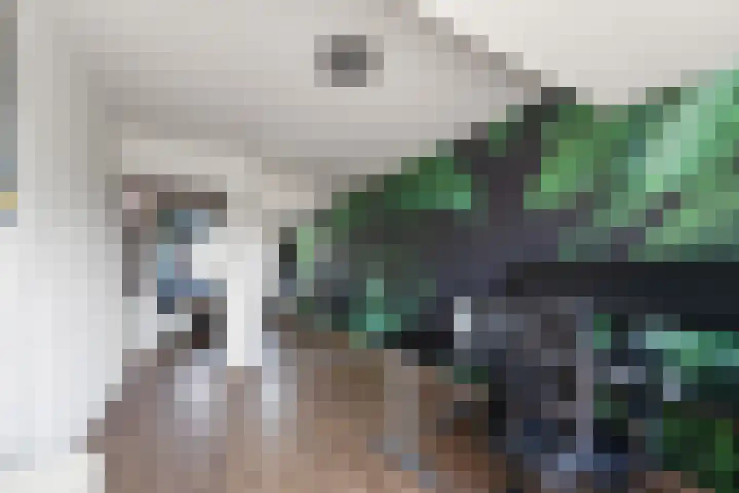 Paltrokmolen 12 Alphen aan den Rijn thumbnail 41
