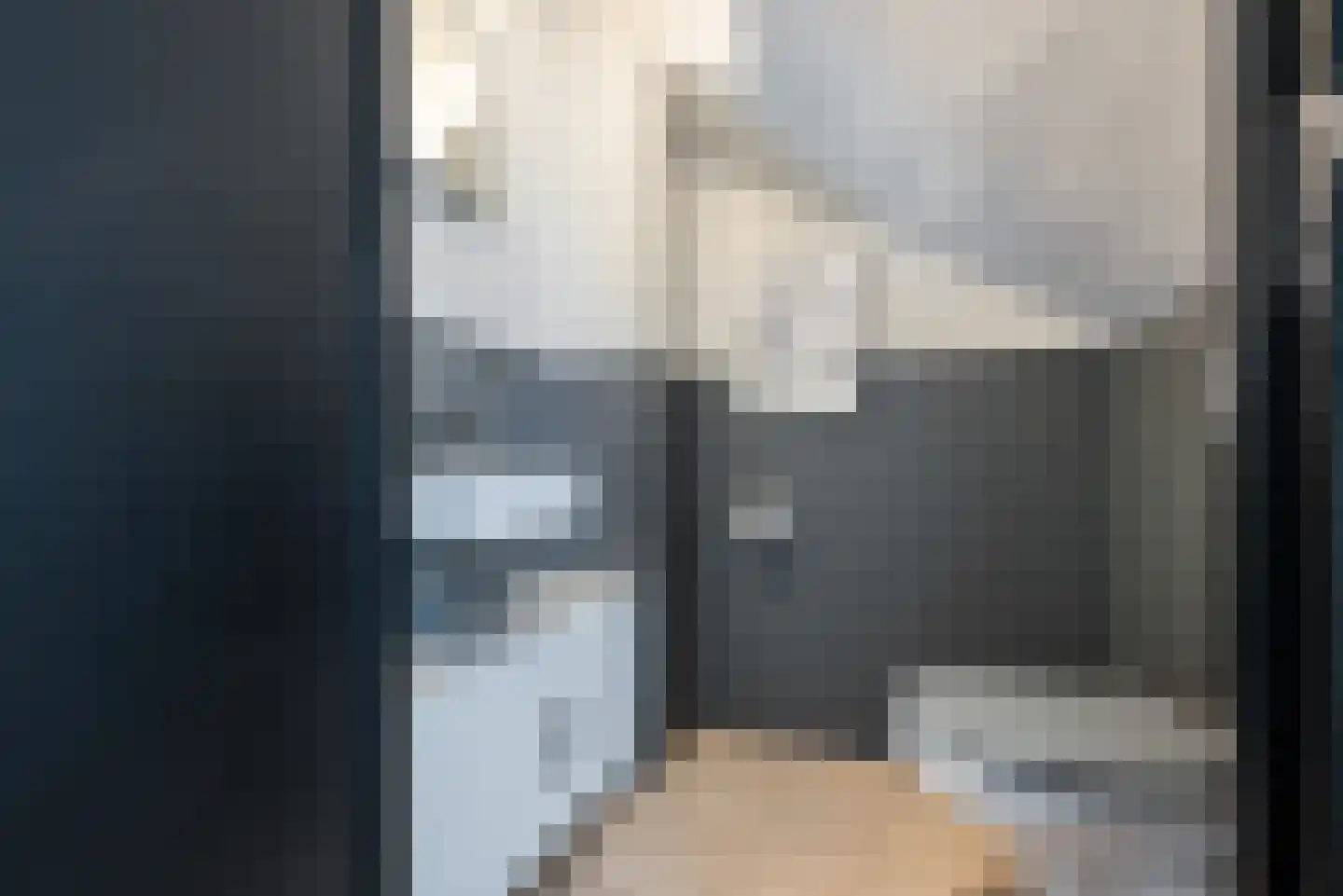 Paltrokmolen 12 Alphen aan den Rijn thumbnail 6