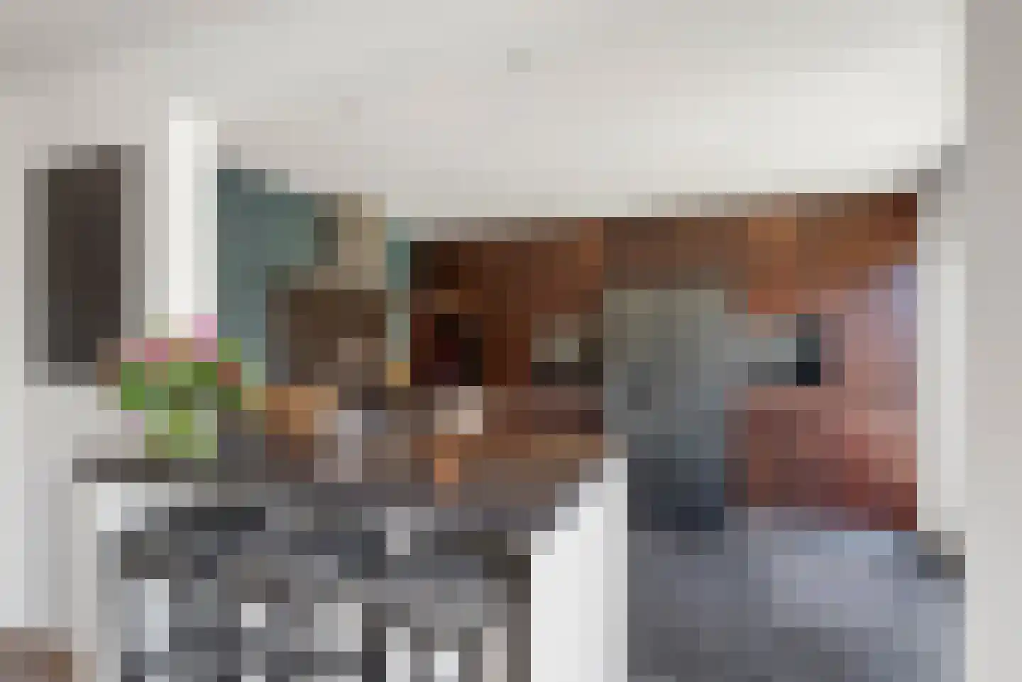Paltrokmolen 12 Alphen aan den Rijn thumbnail 9