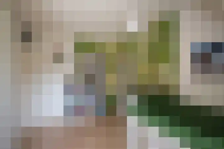 Paltrokmolen 126 Alphen aan den Rijn thumbnail 30