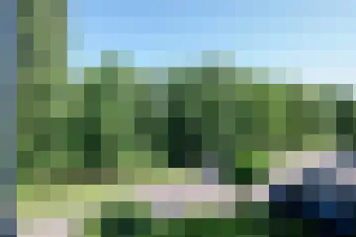 Paltrokmolen 126 Alphen aan den Rijn thumbnail 34