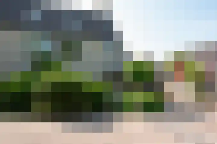 Paltrokmolen 126 Alphen aan den Rijn thumbnail 4