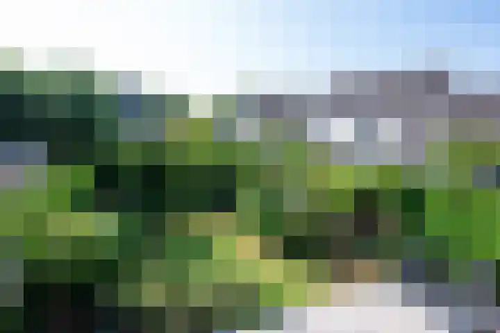 Paltrokmolen 126 Alphen aan den Rijn thumbnail 43