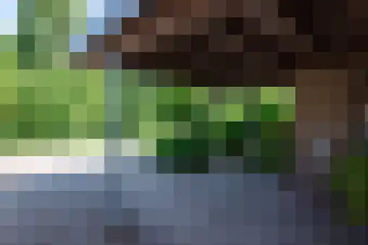 Paltrokmolen 126 Alphen aan den Rijn thumbnail 5