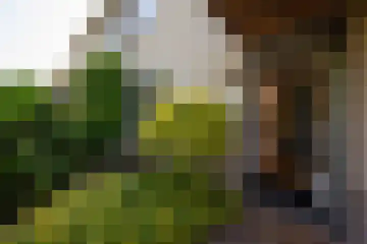 Paltrokmolen 126 Alphen aan den Rijn thumbnail 6