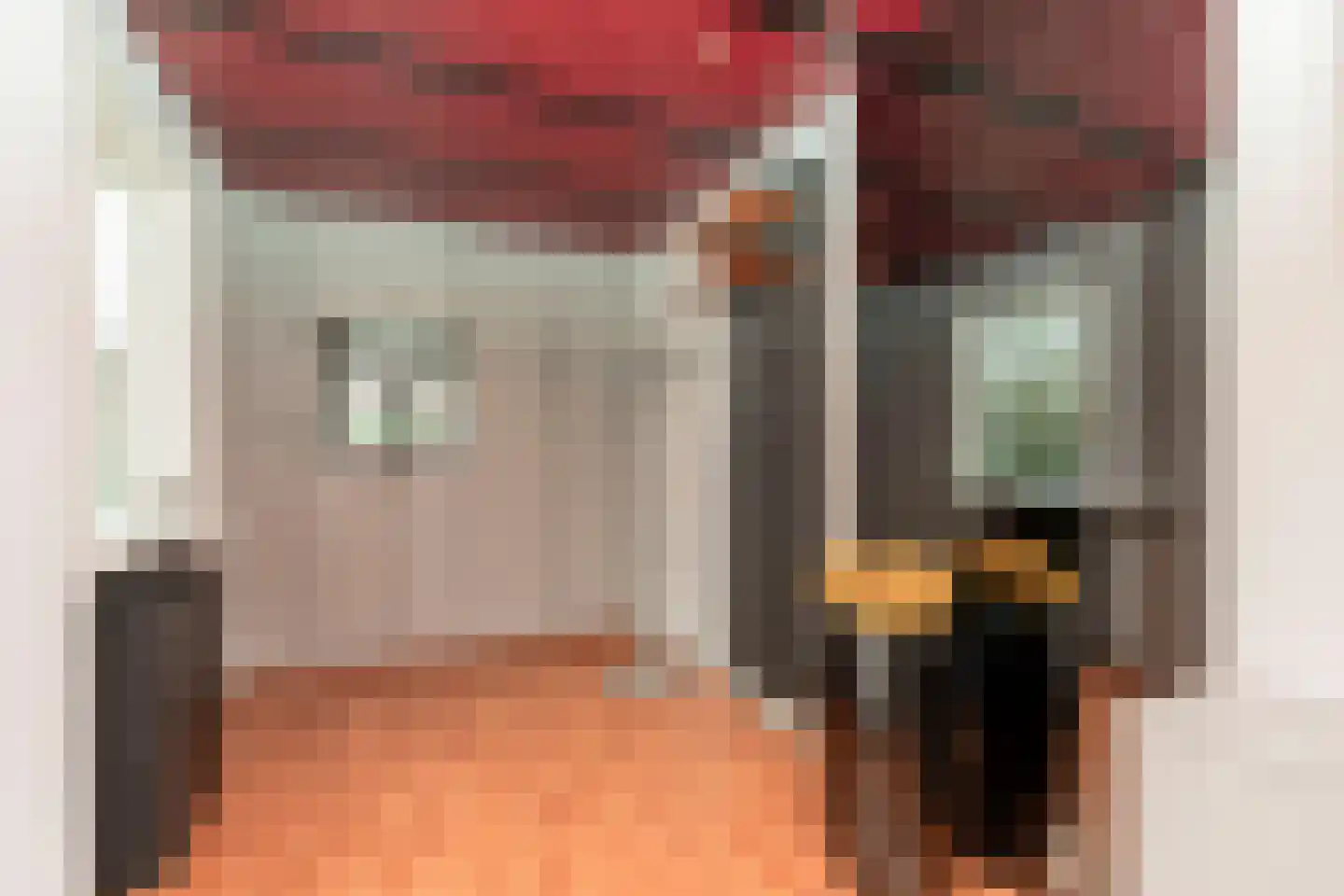 Paltrokmolen 13 Nieuw-Lekkerland thumbnail 10