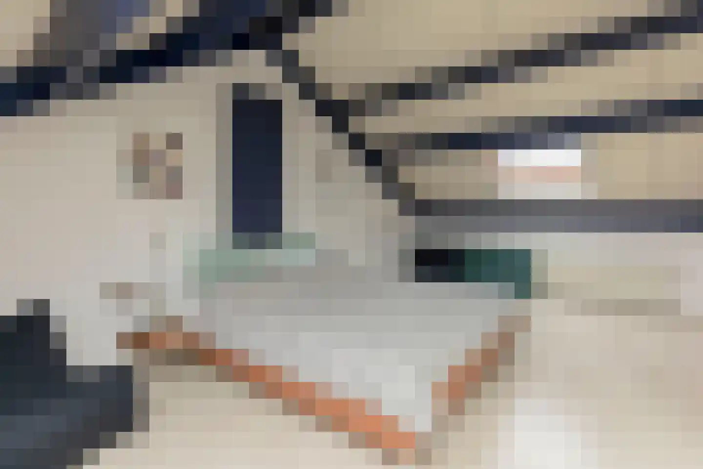 Paltrokmolen 13 Nieuw-Lekkerland thumbnail 13