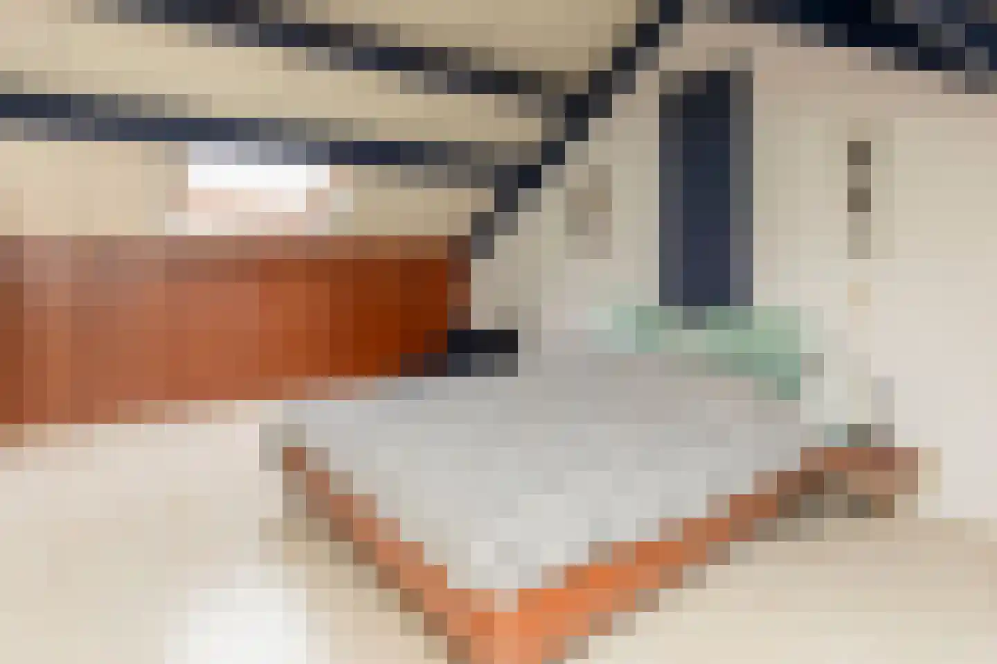 Paltrokmolen 13 Nieuw-Lekkerland thumbnail 16