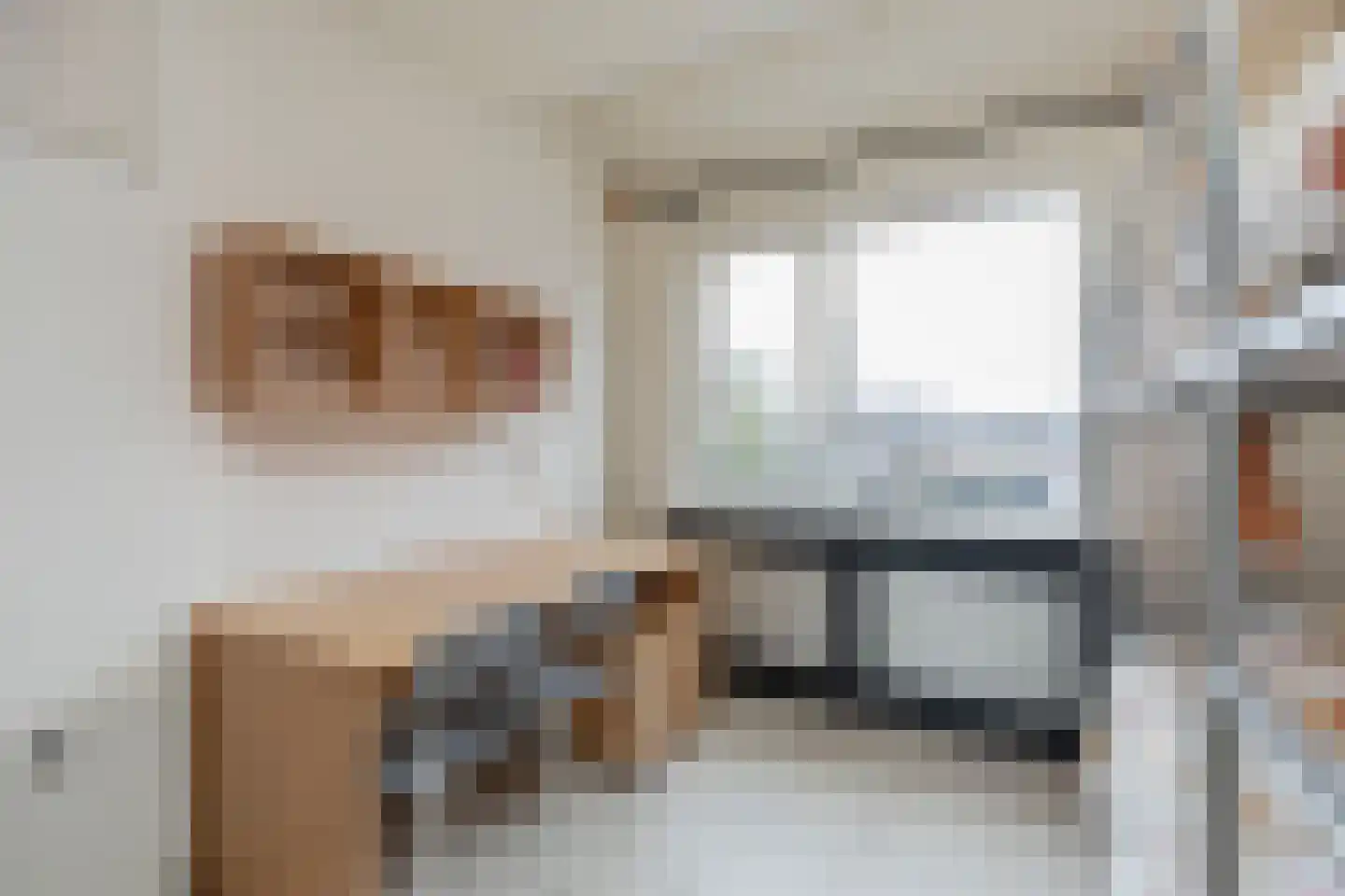 Paltrokmolen 13 Nieuw-Lekkerland thumbnail 26