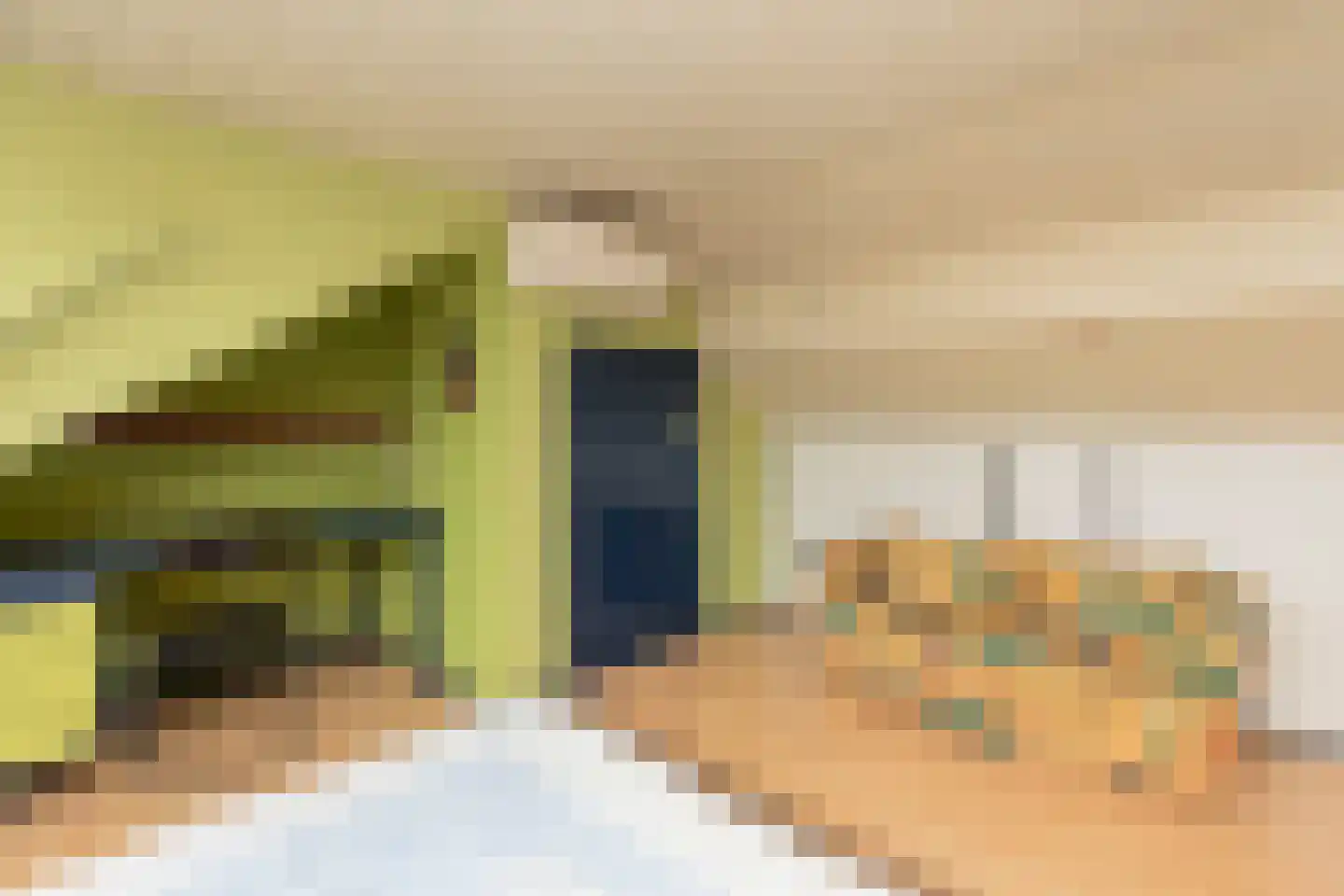 Paltrokmolen 13 Nieuw-Lekkerland thumbnail 32