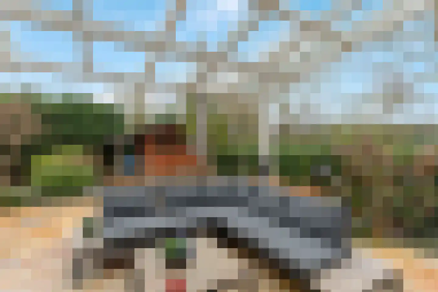 Paltrokmolen 13 Nieuw-Lekkerland thumbnail 35