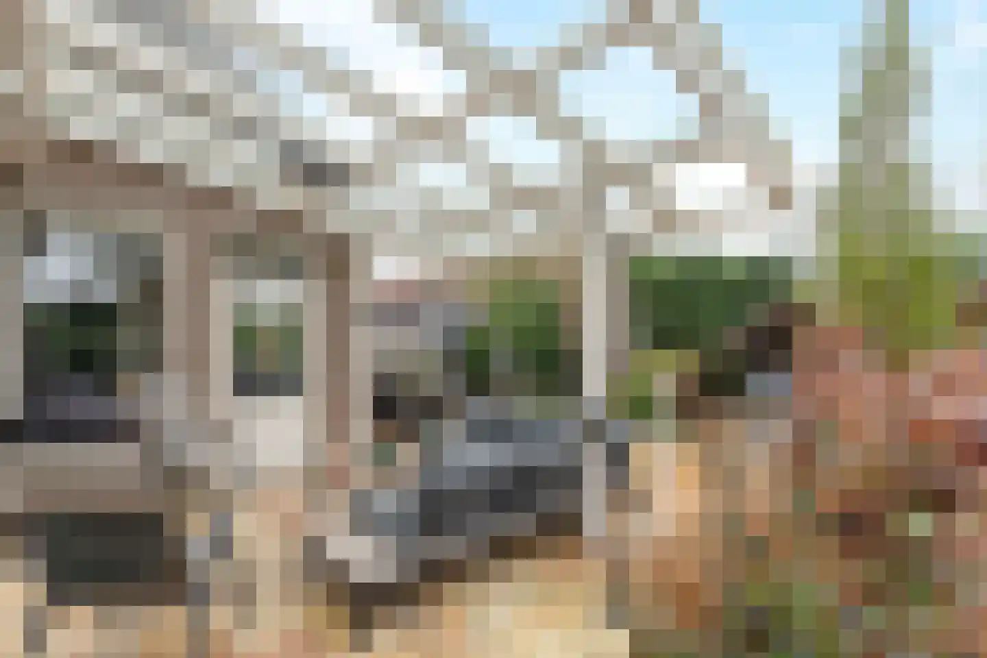 Paltrokmolen 13 Nieuw-Lekkerland thumbnail 36