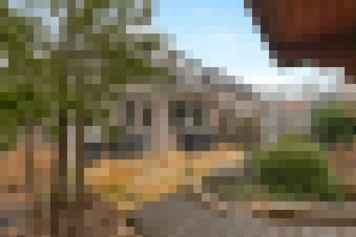 Paltrokmolen 13 Nieuw-Lekkerland thumbnail 38
