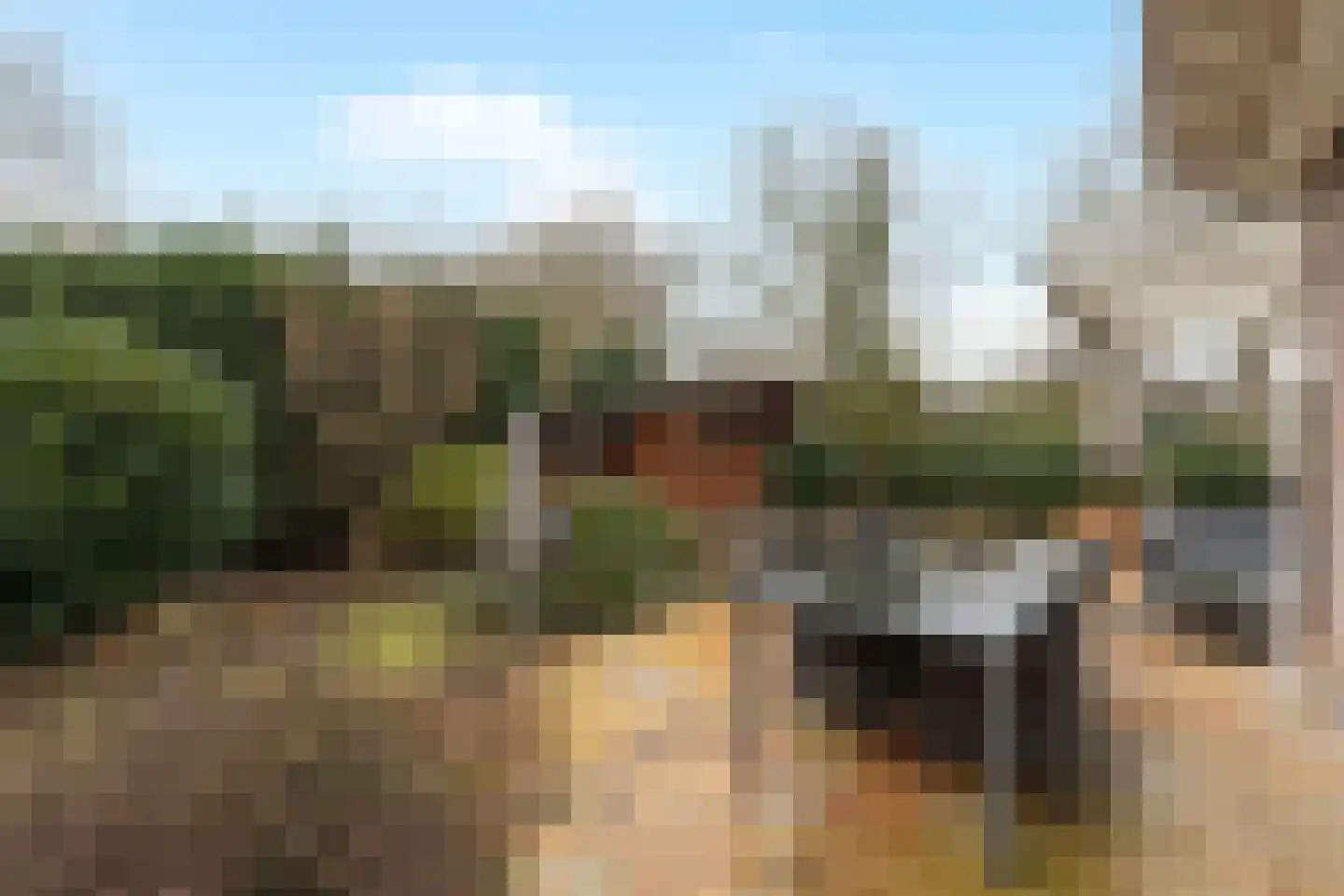 Paltrokmolen 13 Nieuw-Lekkerland thumbnail 39