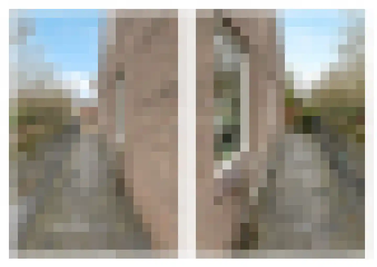 Paltrokmolen 13 Nieuw-Lekkerland thumbnail 40