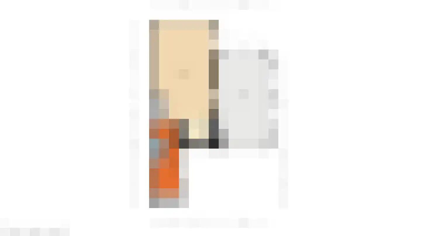 Paltrokmolen 13 Nieuw-Lekkerland thumbnail 45