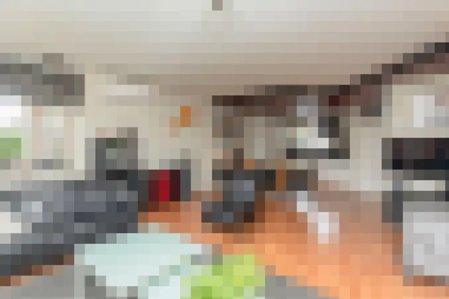 Paltrokmolen 13 Nieuw-Lekkerland thumbnail 7
