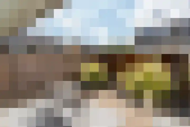 Paltrokmolen 17 Harmelen thumbnail 13