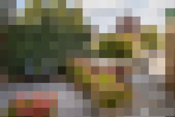 Paltrokmolen 17 Harmelen thumbnail 28