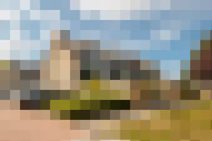Paltrokmolen 17 Harmelen thumbnail 29