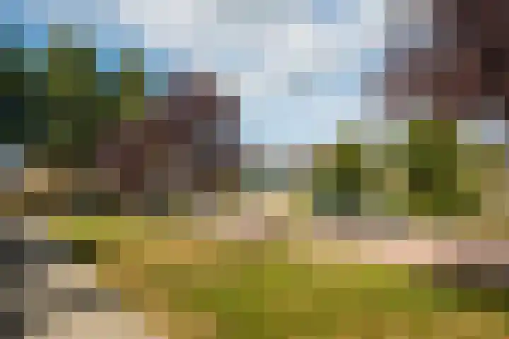 Paltrokmolen 17 Harmelen thumbnail 30