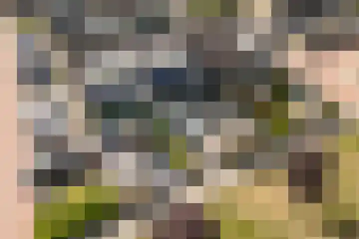 Paltrokmolen 17 Harmelen thumbnail 31
