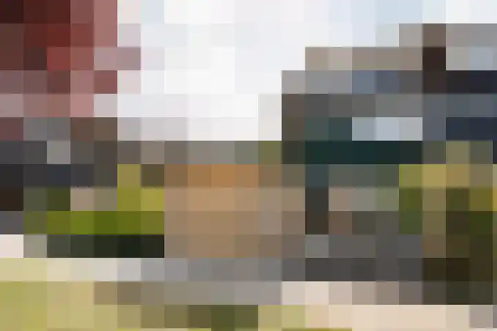 Paltrokmolen 17 Harmelen thumbnail 37