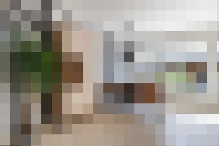 Paltrokmolen 17 Harmelen thumbnail 8